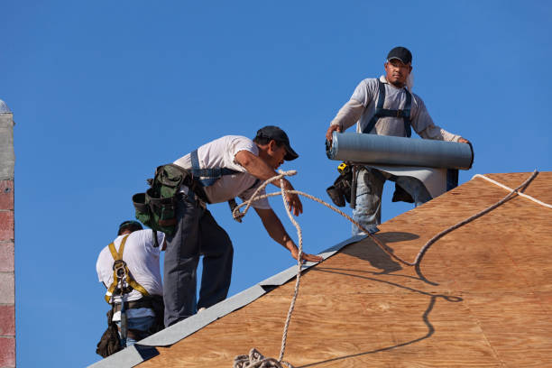 Best Roof Gutter Cleaning  in Orosi, CA